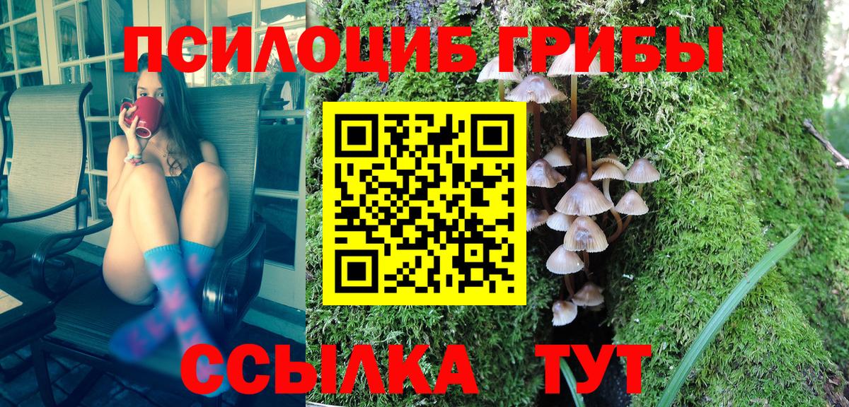 Псилоцибиновые грибы GOLDEN TEACHER  закладки  Пыть-Ях  Галлюциногенные грибы Psilocybine cubensis  Вход с VPN 
